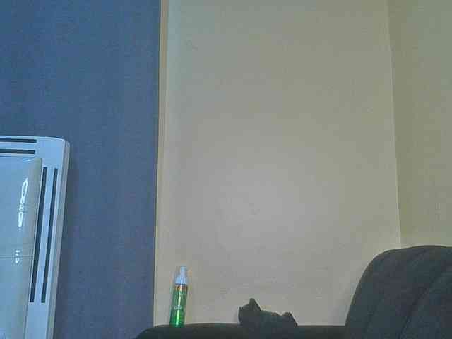 SexyAmelia1 webcam