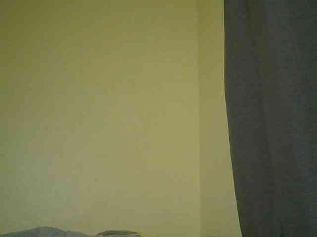 Monrax webcam