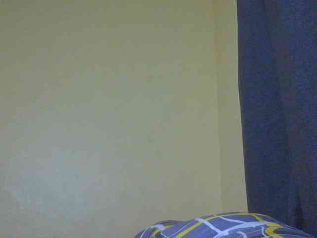Monrax webcam