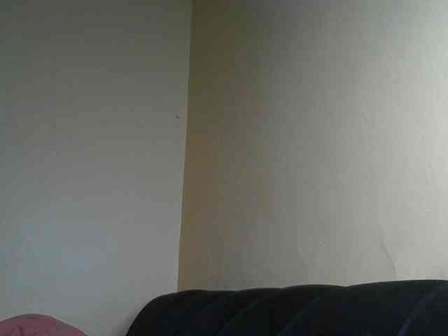 Monrax webcam