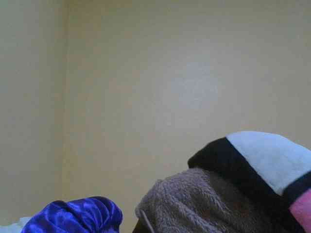 SexyAmelia1 webcam