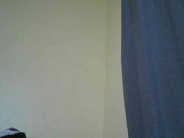 Monrax webcam