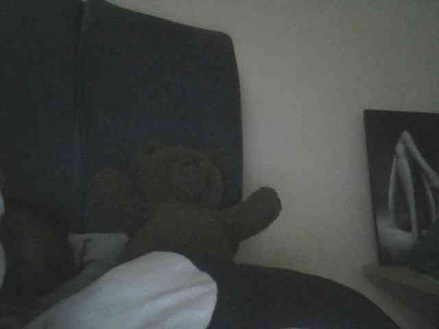 Monrax webcam