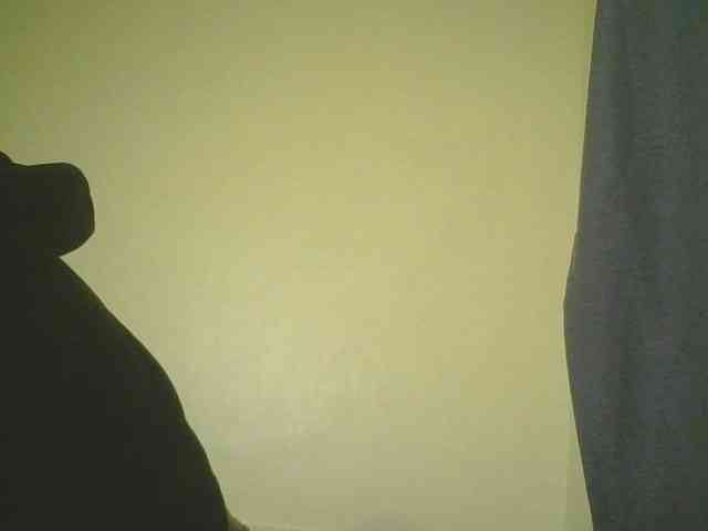 Monrax webcam