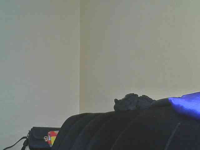 SexyAmelia1 webcam