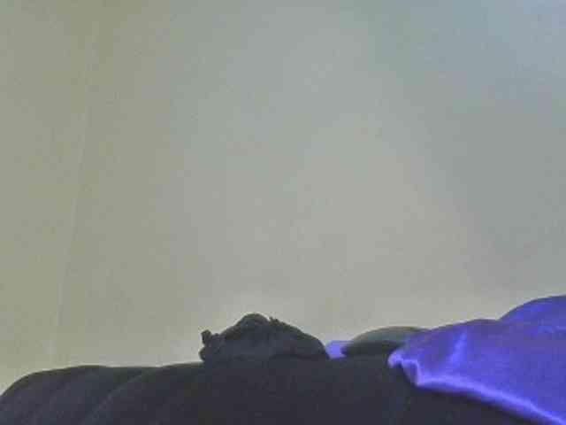 SexyAmelia1 webcam