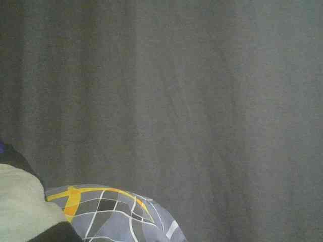 Monrax webcam