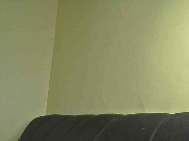 Monrax webcam