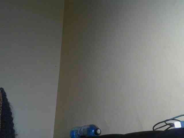 Monrax webcam