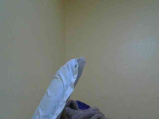 SexyAmelia1 webcam