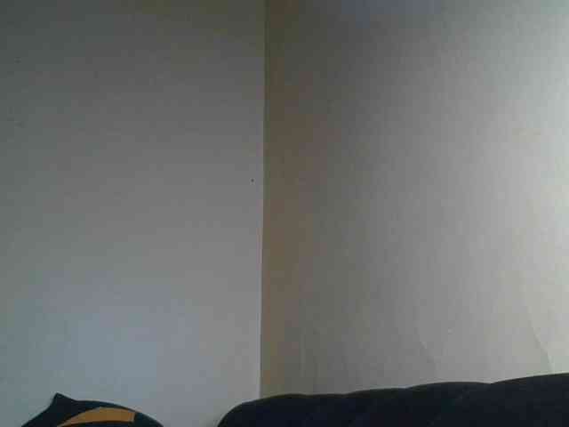 Monrax webcam