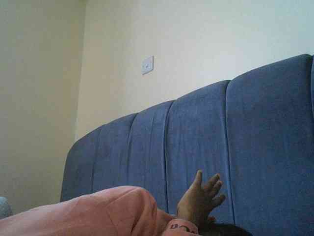 Monrax webcam