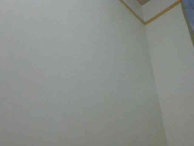 SexyAmelia1