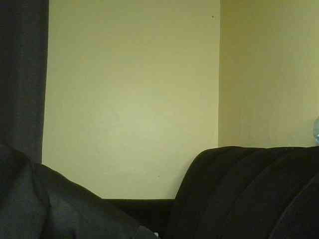 Monrax webcam