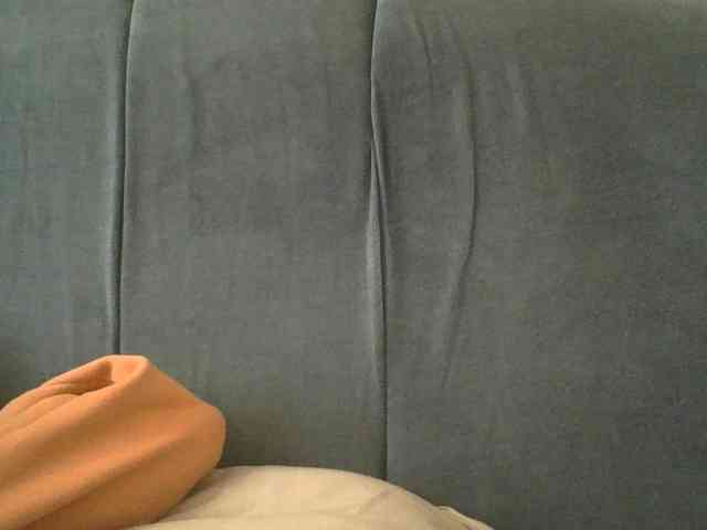 Monrax webcam