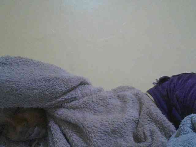 SexyAmelia1 webcam