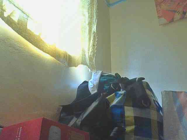 SexyAmelia1 webcam