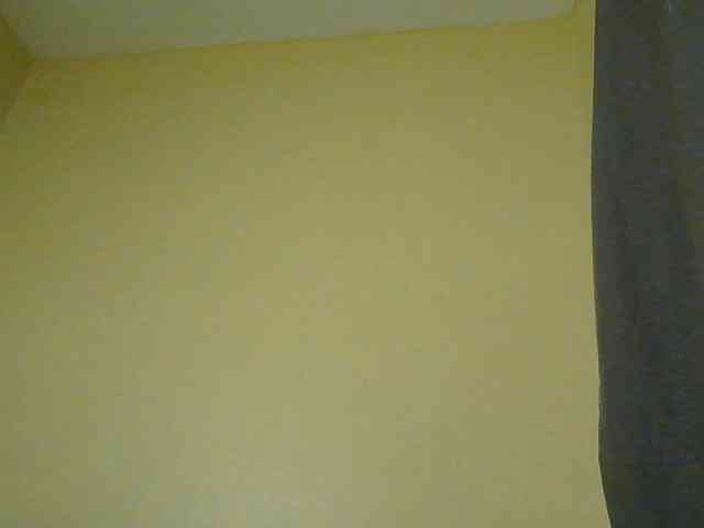 Monrax webcam