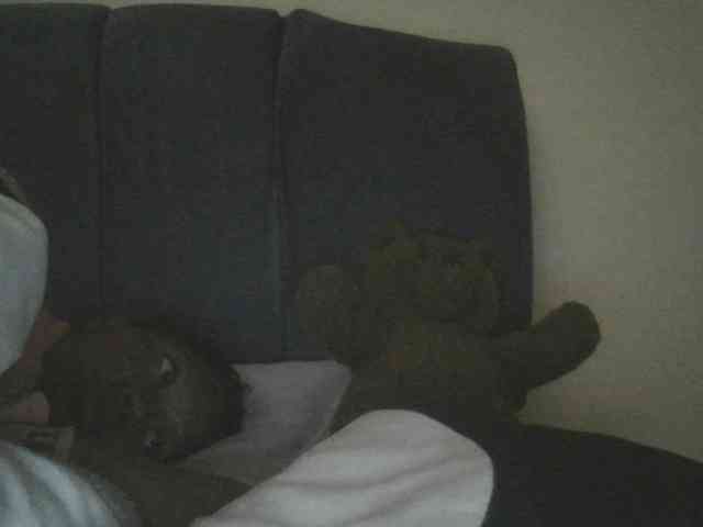Monrax webcam