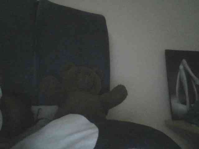 Monrax webcam