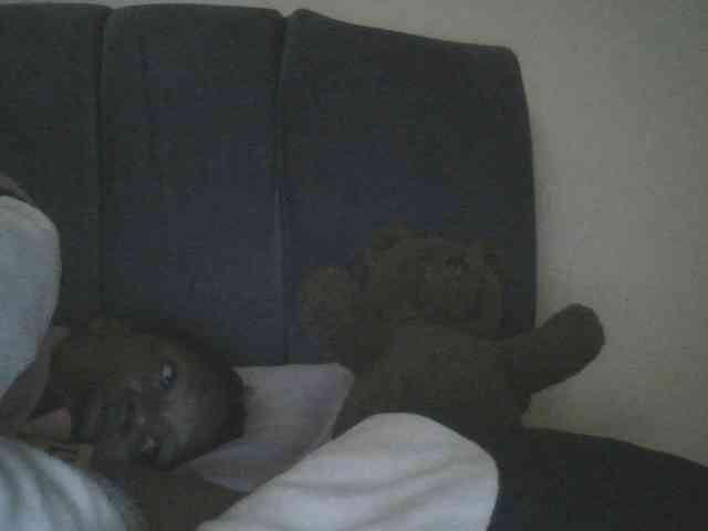 Monrax webcam