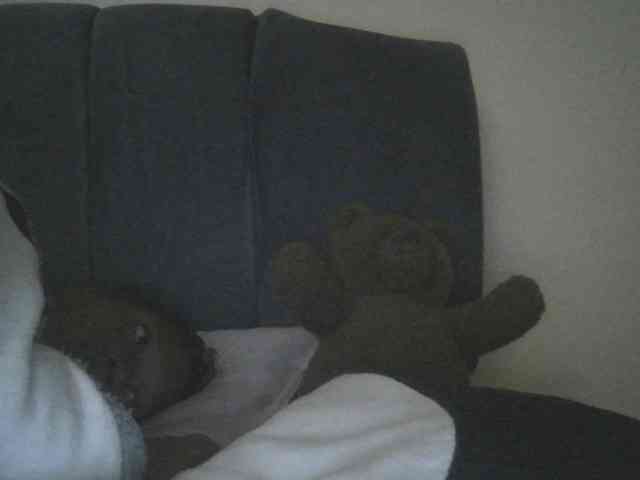 Monrax webcam