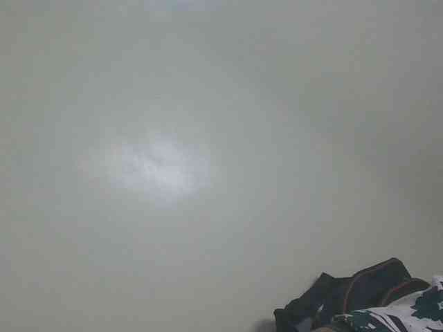 Monrax webcam