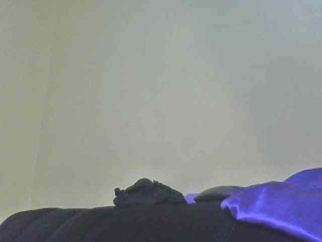 SexyAmelia1 webcam