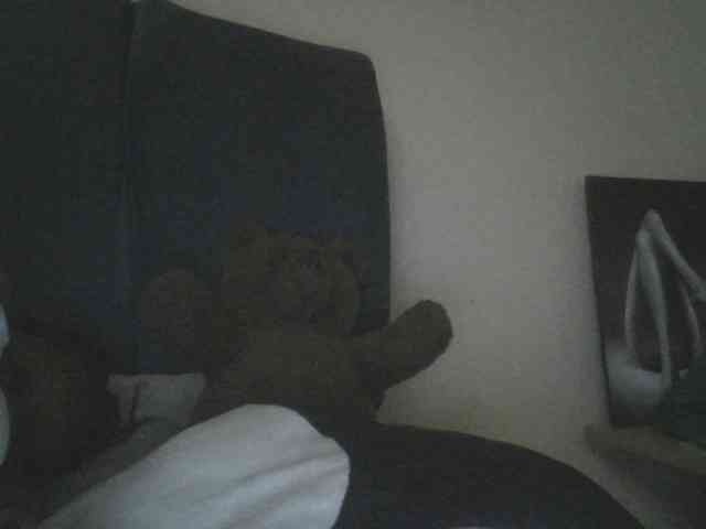 Monrax webcam
