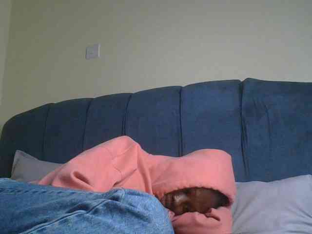 Monrax webcam