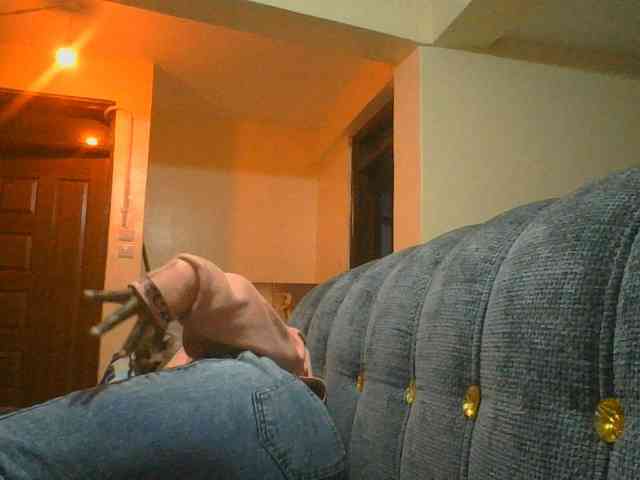 Monrax webcam