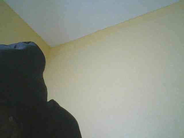 Monrax webcam