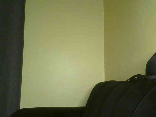 Monrax webcam