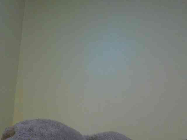SexyAmelia1 webcam