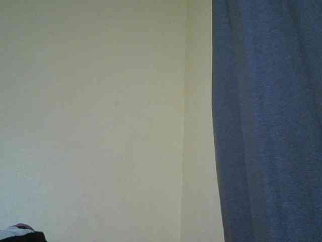 Monrax webcam
