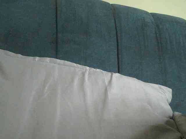 Monrax webcam