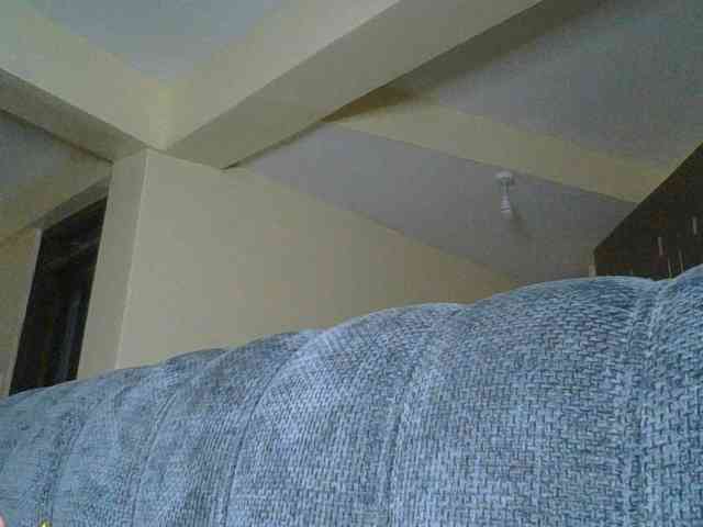 Monrax webcam