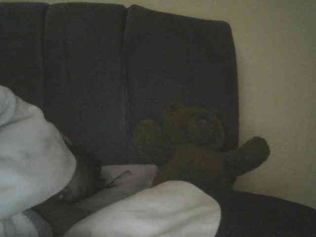 Monrax webcam