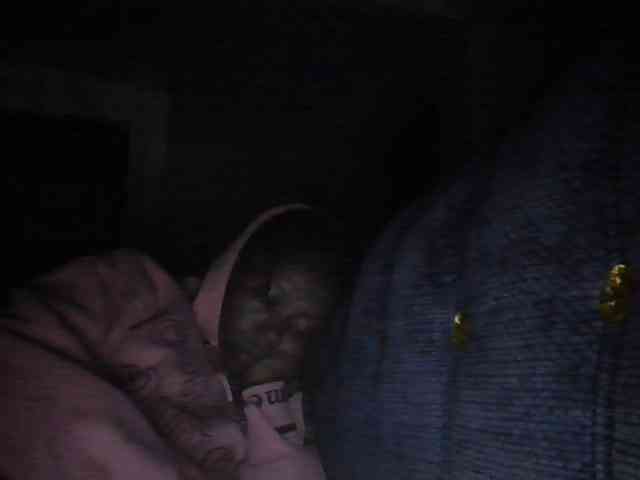 Monrax webcam