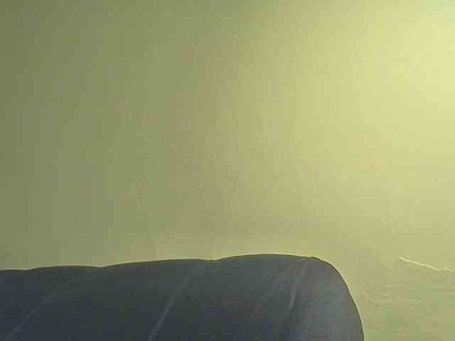 SexyAmelia1 webcam