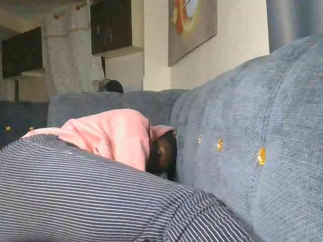 Monrax webcam