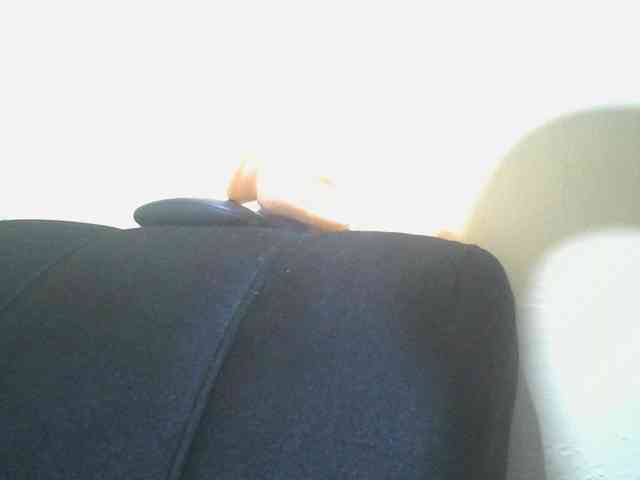 SexyAmelia1 webcam