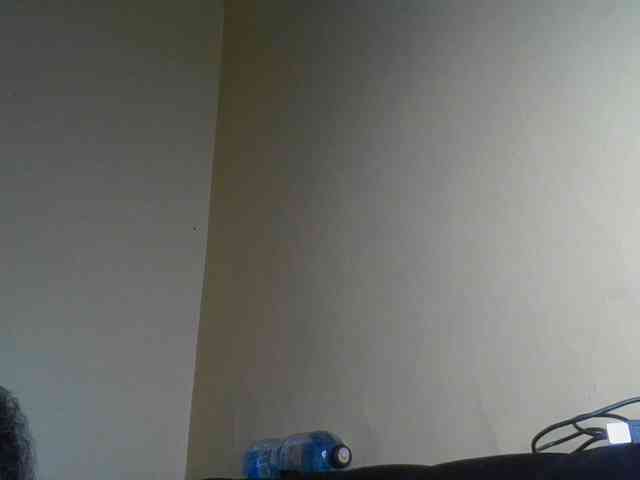 Monrax webcam