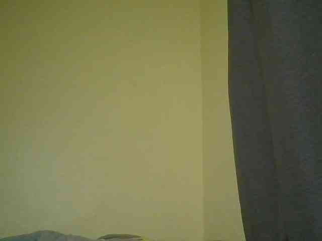 Monrax webcam