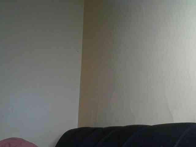 Monrax webcam