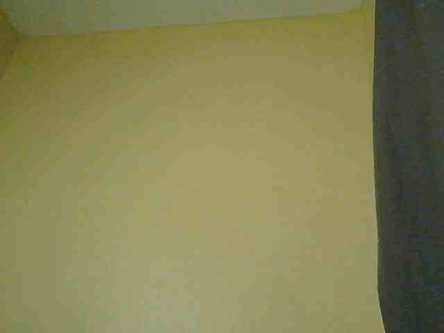 Monrax webcam