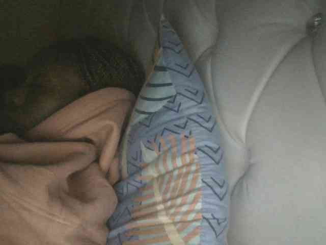 Monrax webcam