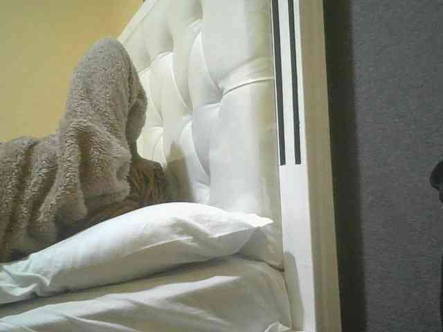 SexyAmelia1 webcam