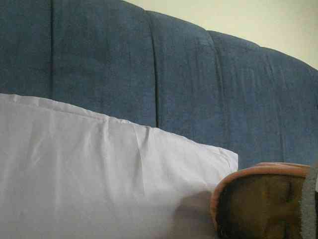 Monrax webcam