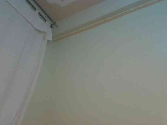 Monrax webcam